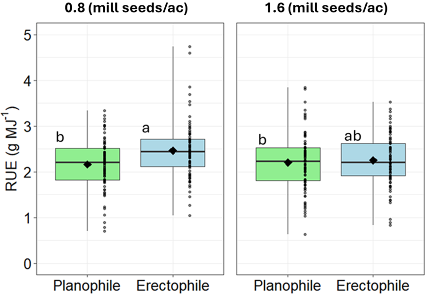 Boxplots showing radiation use efficiency (RUE, g MJ⁻&sup1;) for Planophile and Erectophile wheat canopy types at two seeding rates: 0.8 and 1.6 million seeds per acre. At the lower seeding rate, Erectophile has significantly higher RUE (~2.5&ndash;3.0) than Planophile (~2.0&ndash;2.5). At the higher seeding rate, the difference narrows, with Erectophile slightly higher but overlapping with Planophile. Letters (a, b, ab) mark statistical groupings.